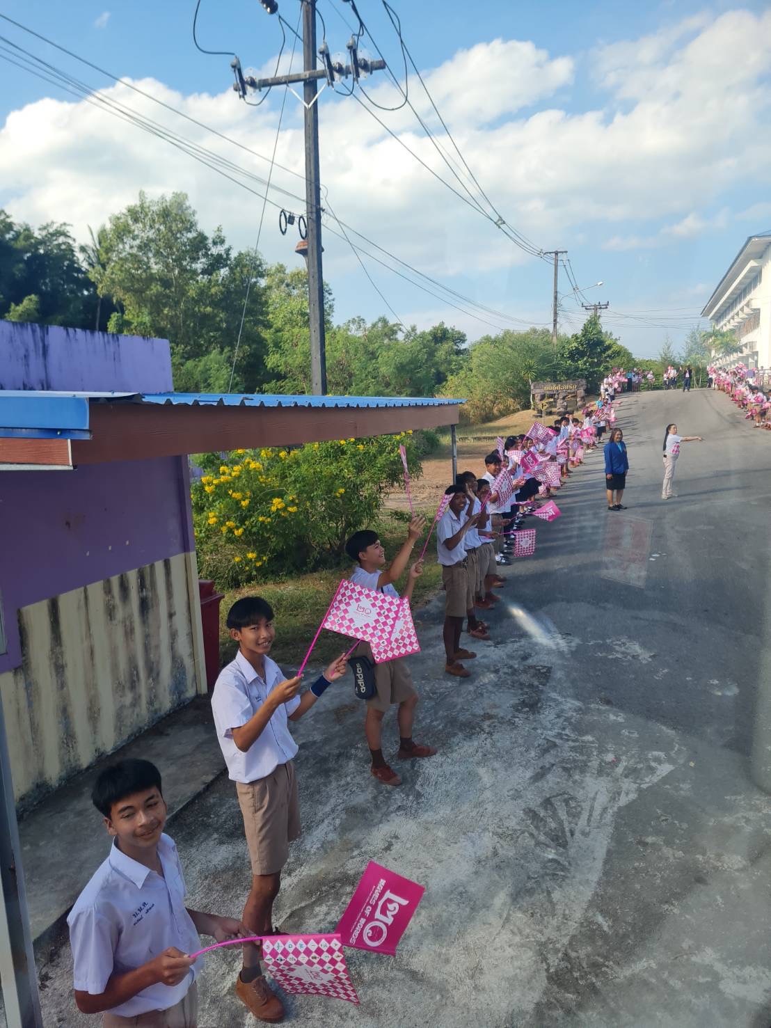 Pink flags at the school